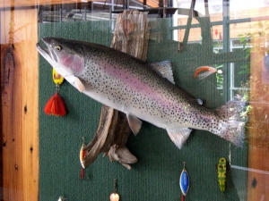 Rainbow Trout Stocking Schedule For Southwest Idaho | KBOI 93.1FM & 670AM